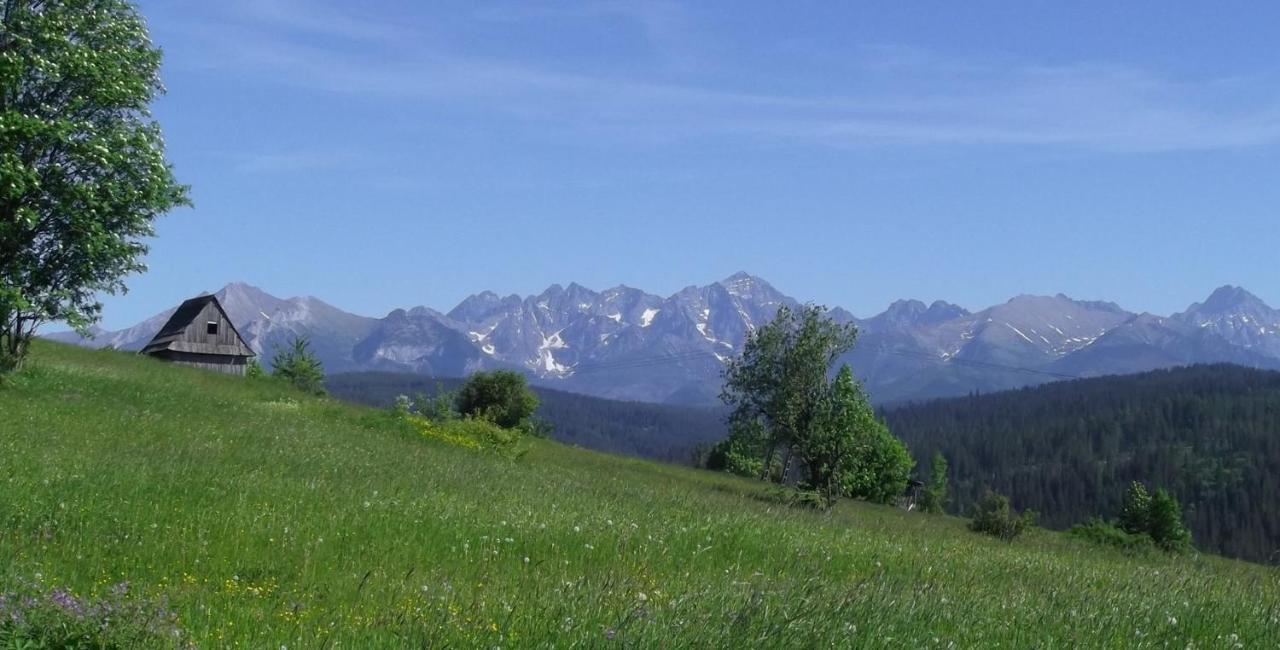 Willa Na Olczanskim Wierchu Bukowina Tatrzańska Buitenkant foto